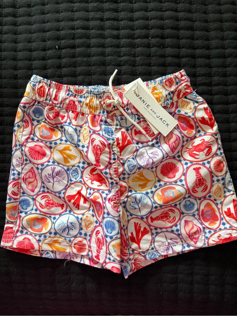 Janie and Jack White Swim Trunks with Red, Blue, Yellow & Pink Shell Print